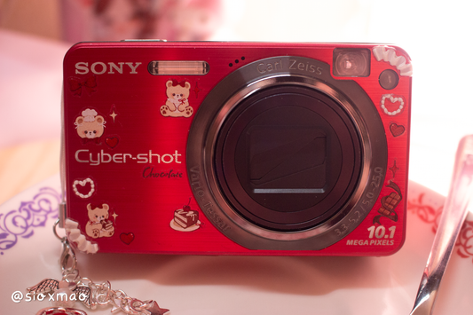 🍰 Beary Dessert | Sony Cybershot DSC-W170 (Red)