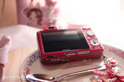 🍰 Beary Dessert | Sony Cybershot DSC-W170 (Red)