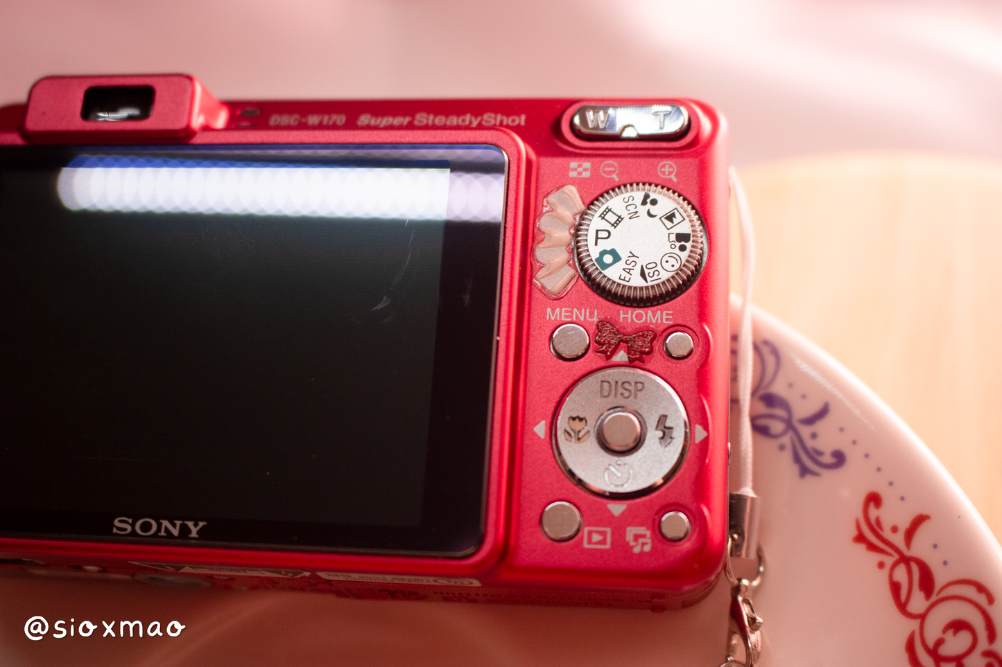 🍰 Beary Dessert | Sony Cybershot DSC-W170 (Red)