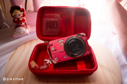 🍰 Beary Dessert | Sony Cybershot DSC-W170 (Red)