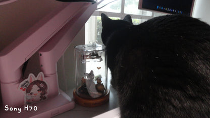 ★ Star Kitty | Sony Cybershot DSC-H70 (Red)