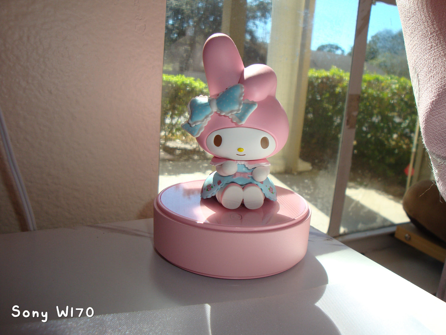 🍰 Beary Dessert | Sony Cybershot DSC-W170 (Red)