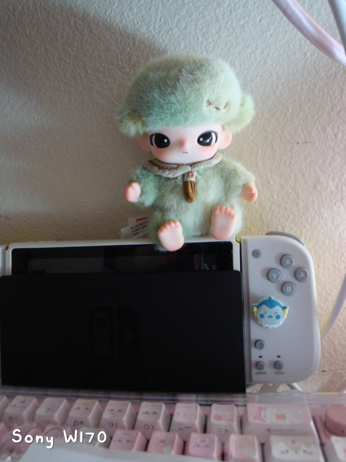 🍰 Beary Dessert | Sony Cybershot DSC-W170 (Red)