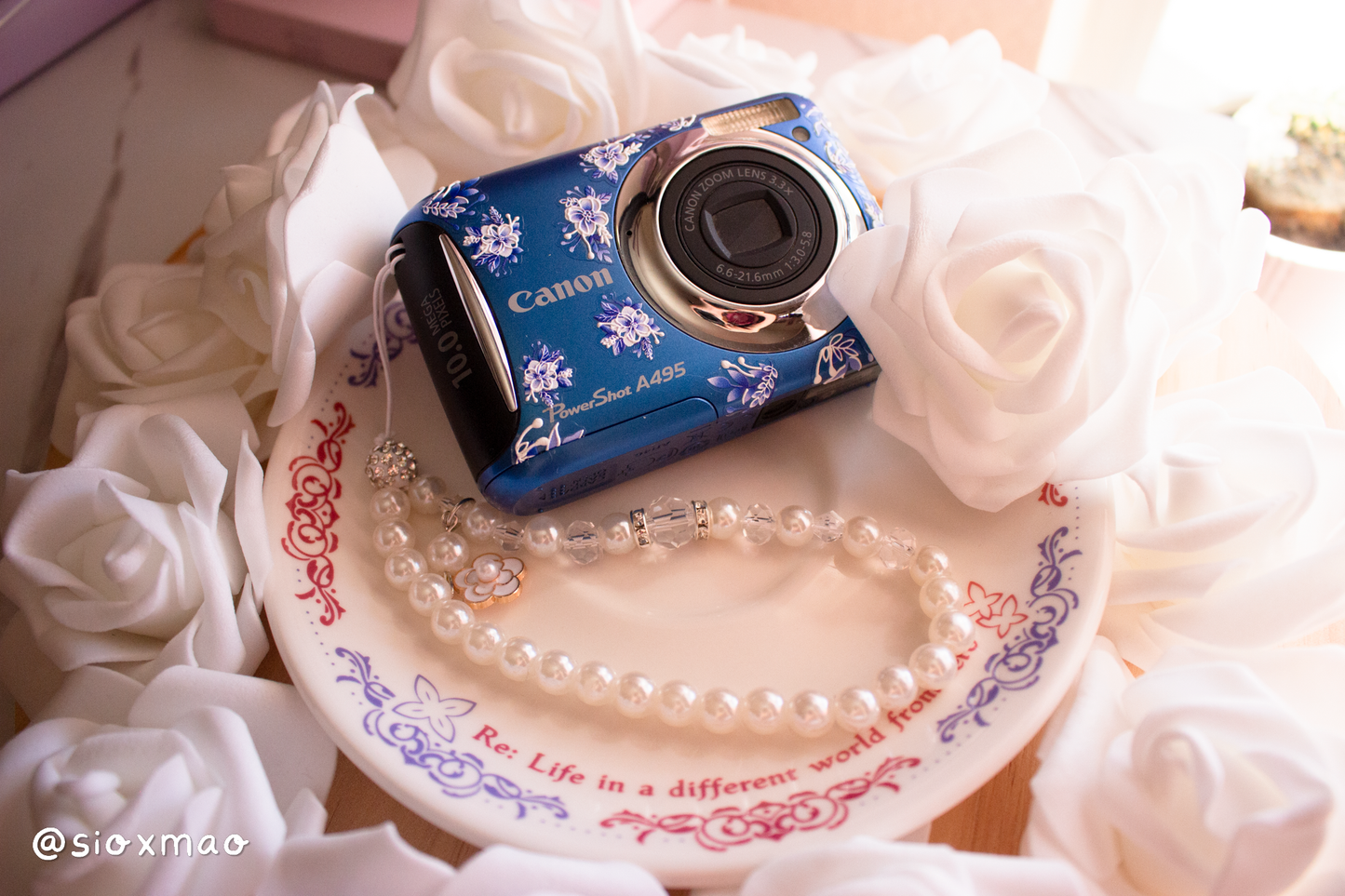 ✿ Porcelain Flowers | Canon Powershot A495 (Blue)